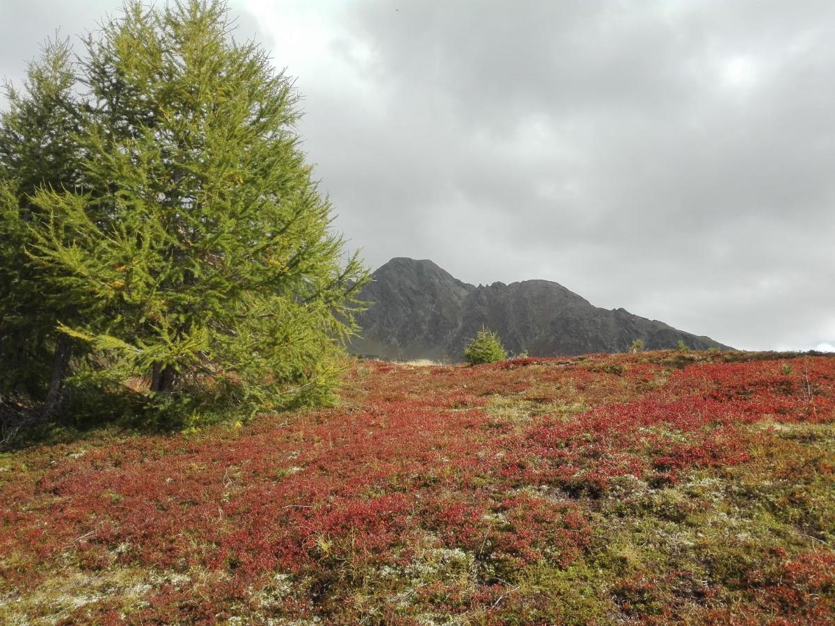 산타 마달레나 인 카시에스 Alpenblick 아파트 외부 사진